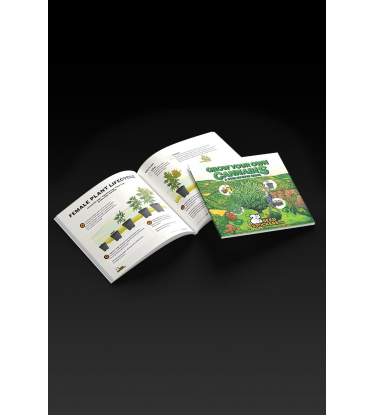 📘 Pěstitelská příručka | Průvodce pěstováním konopí | Nakupujte na Seedstockers.cz 🐿️
