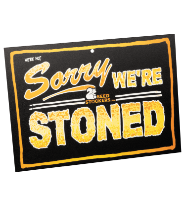 🚪 Cedulka na dveře | „Come In We’re High“ | Nakupujte na Seedstockers.cz 🐿️