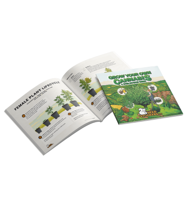 📘 Pěstitelská příručka | Průvodce pěstováním konopí | Nakupujte na Seedstockers.cz 🐿️