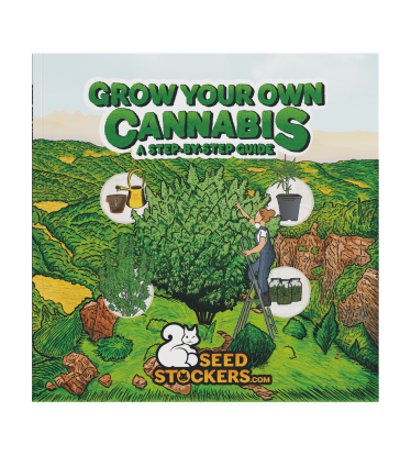 📘 Pěstitelská příručka | Průvodce pěstováním konopí | Nakupujte na Seedstockers.cz 🐿️