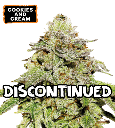 Cookies & Cream Samonakvétací semena konopí