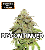 🪴 Cookies & Cream | Feminizovaná semena konopí | Nakupujte na Seedstockers.cz 🐿️
