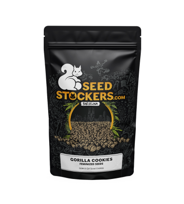 🪴 Gorilla Cookies | Feminizovaná semínka marihuany | Objednej na Seedstockers.cz 🐿️