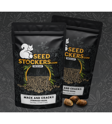🪴 Mack and Crack© | Feminizovaná semena marihuany | Objednej na Seedstockers.cz 🐿️