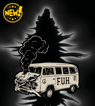 🪴 F.U.H (F*cked Up Hippy)© automatická | Konopná semena | Seedstockers.cz 🐿️
