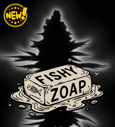 🪴 Fishy Zoap© | Feminizovaná Semena Konopí | Seedstockers UK 🐿️
