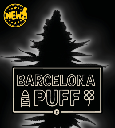 🪴 Barcelona Puff© | Feminizovaná semena konopí | Seedstockers.cz 🐿️