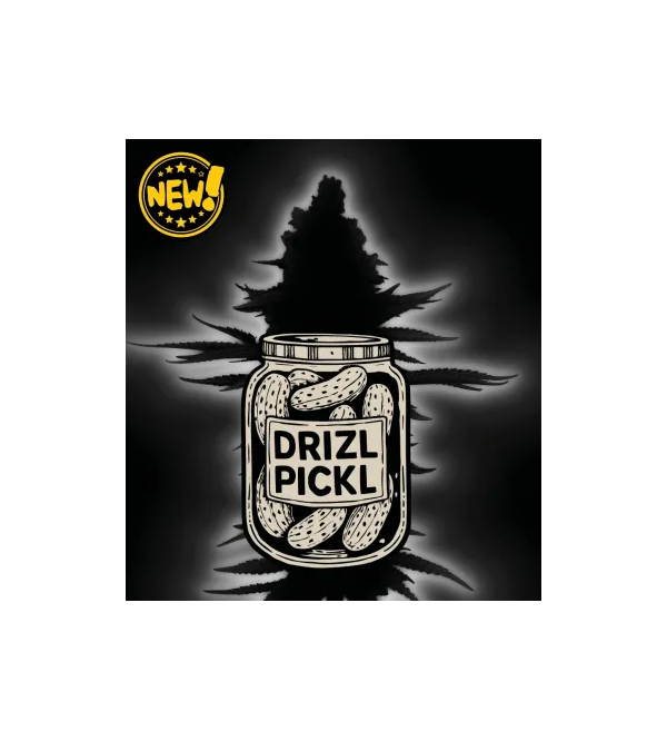 🪴 Drizl Pickl© Samonakvétací | Samonakvétací semena konopí | Seedstockers.cz 🐿️