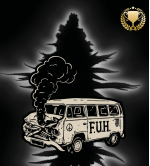 🪴 F.U.H (F*cked Up Hippy)© automatická | Konopná semena | Seedstockers.cz 🐿️