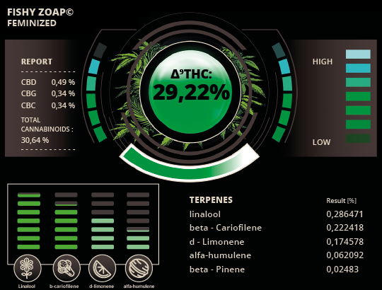 THC-fishy-zoap-F.png